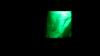 MVI_1292.MOV