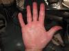 hand.ppm
